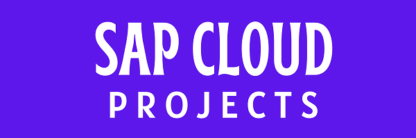 SAP Freelance Project