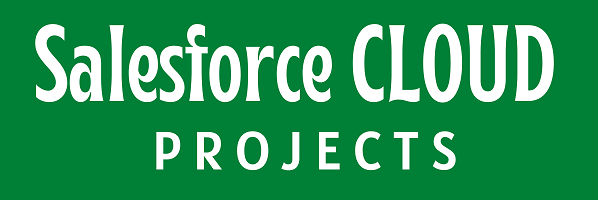 Salesforce Freelance Project